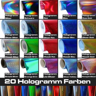 W&ouml;rtersee 201X AutoAufkleber Hologramm Farbe (Hologramm)